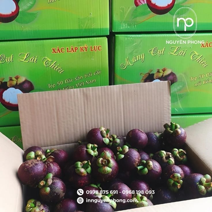 Mẫu thùng carton 3 lớp đựng măng cụt